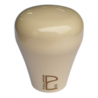 Almond Ivory